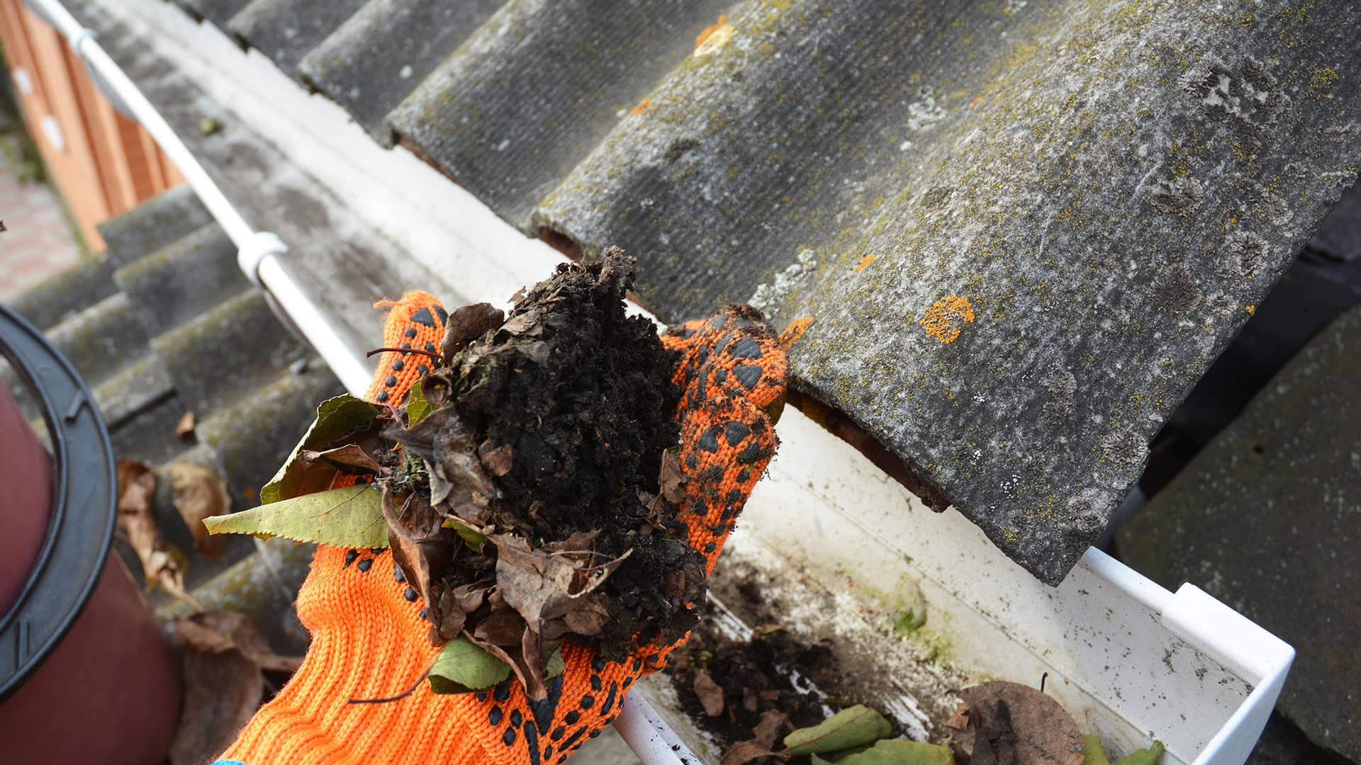 gutters-solar-cleaning-sonoma